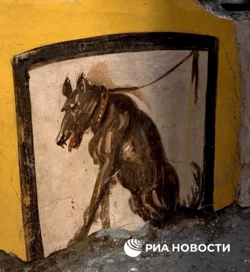 Археологи нашли древнеримский фаст-фуд, которому 2000 лет: теперь он открыт для туристов (фото)